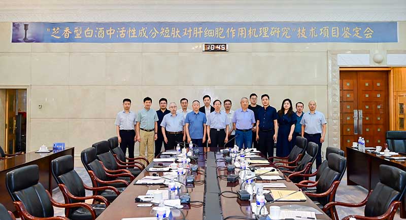 CHC9520.jpg